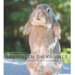 Kaninboken