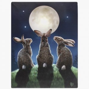 moonhare