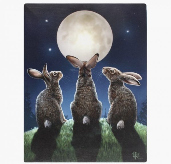 moonhare
