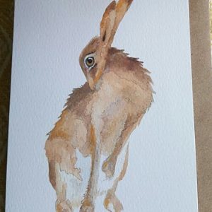 Tvättande hare