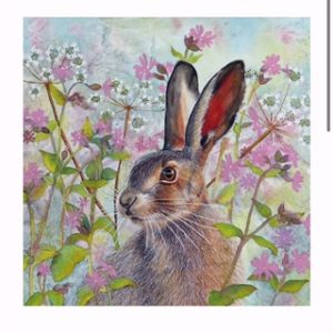 sommarhare