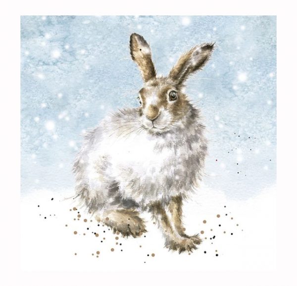 julkort hare