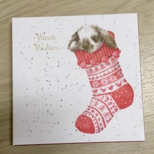 Vykort - Kanin i strumpa