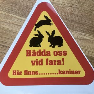 Kaniner i fara