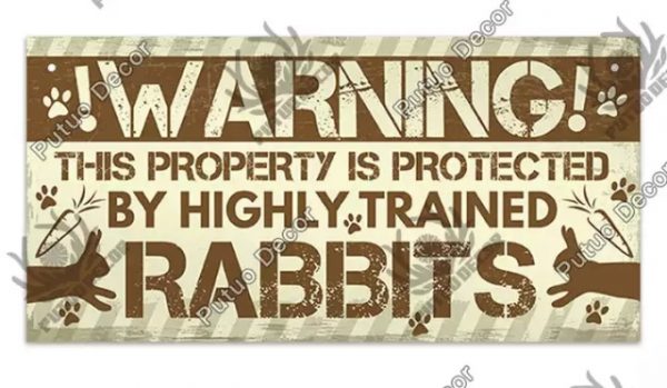 trained rabbits