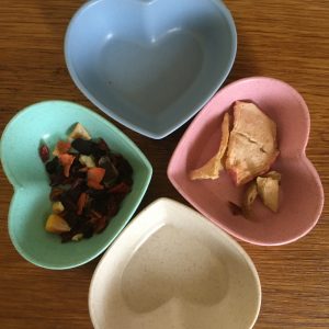 Hamster/marsvinsskål