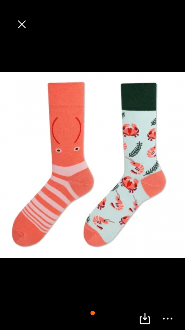 Seesock