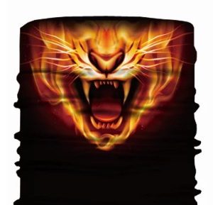 Buff Eldkatt