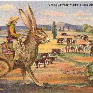 Texas Cowboy på kanin, magnet