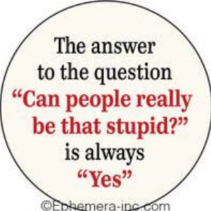 Rund magnet - stupid people