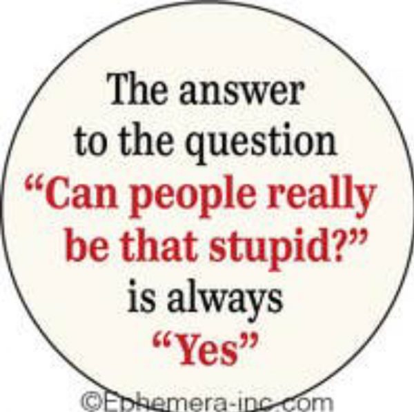 Rund magnet - stupid people