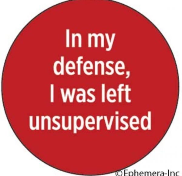 Badge - in my defense