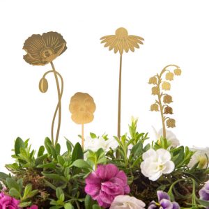 Växtdekoration Blommor