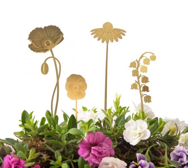 Växtdekoration Blommor