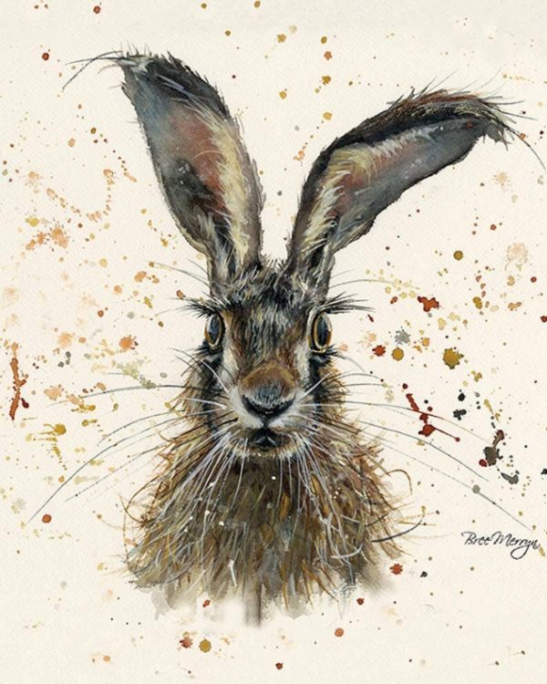 Tavla-Hare vit