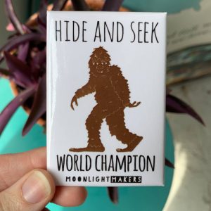 Magnet world champion