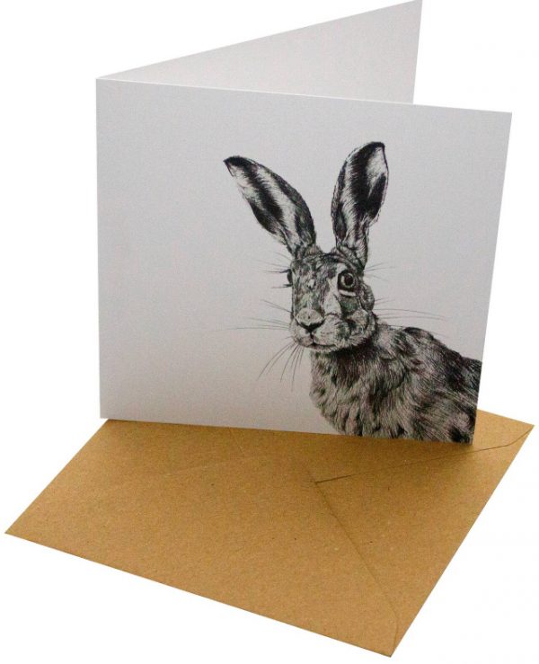 Nyfiken hare