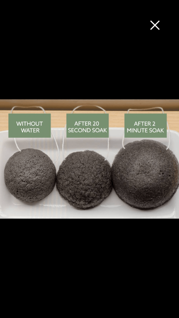 Konyakku (Konjac)svamp
