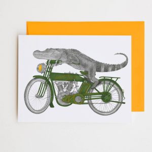 Arnes moped
