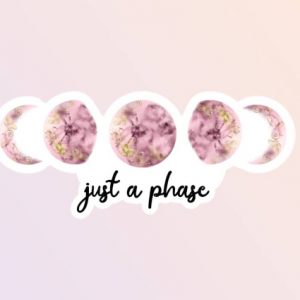 Just a phase sticker