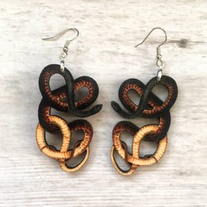 Coachwhip Snake