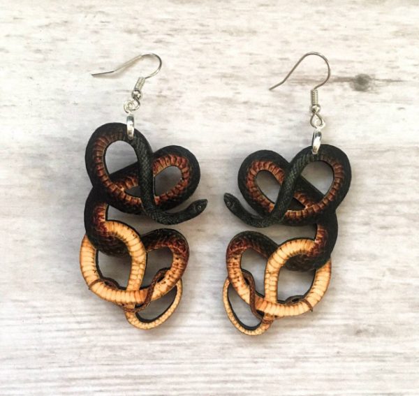 Coachwhip Snake