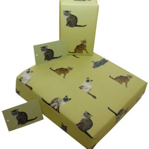 Presentpappersark katter