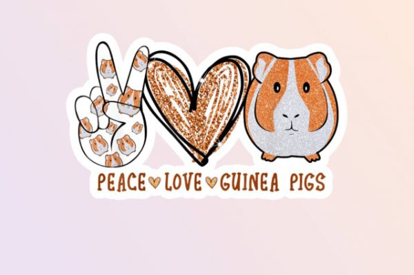 Peace, love, marsvin