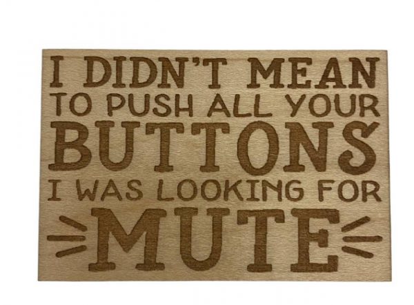 Magnet mutebutton