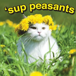 `sup