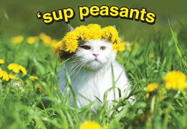 `sup