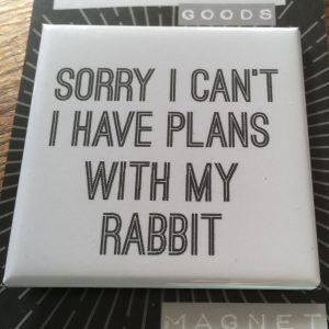 Plans with my rabbit
