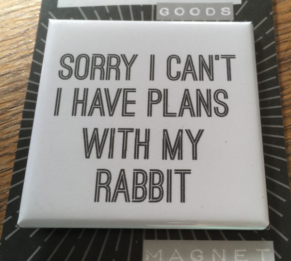 Plans with my rabbit