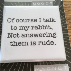 Talking to my rabbit