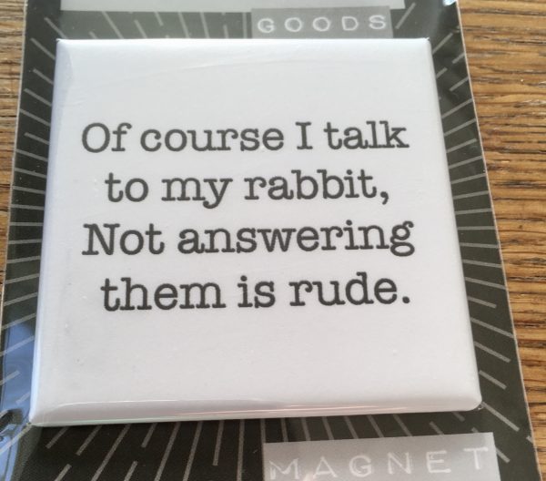 Talking to my rabbit