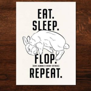 Flop vykort